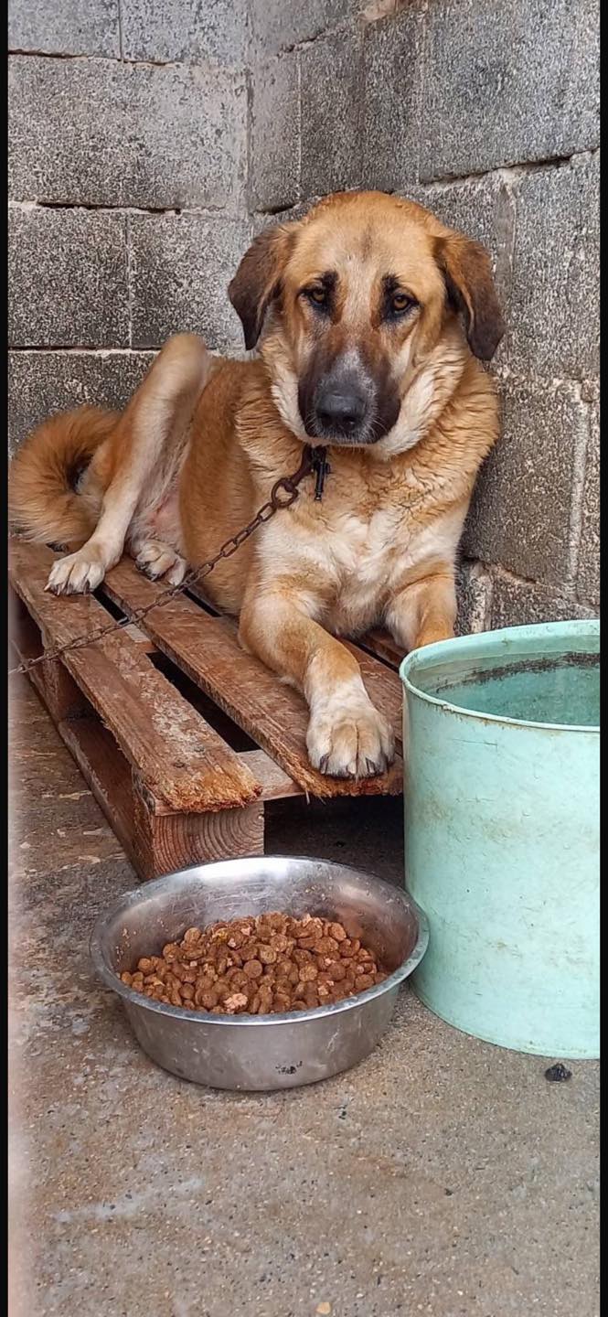 634906167_122171638256771468_3104280309500784961_n