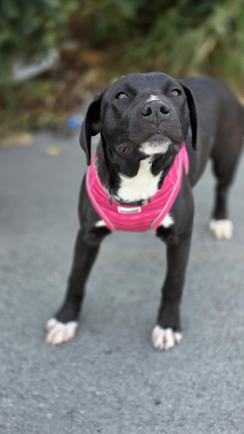 634933050_122171285042771468_3001864199179729086_n