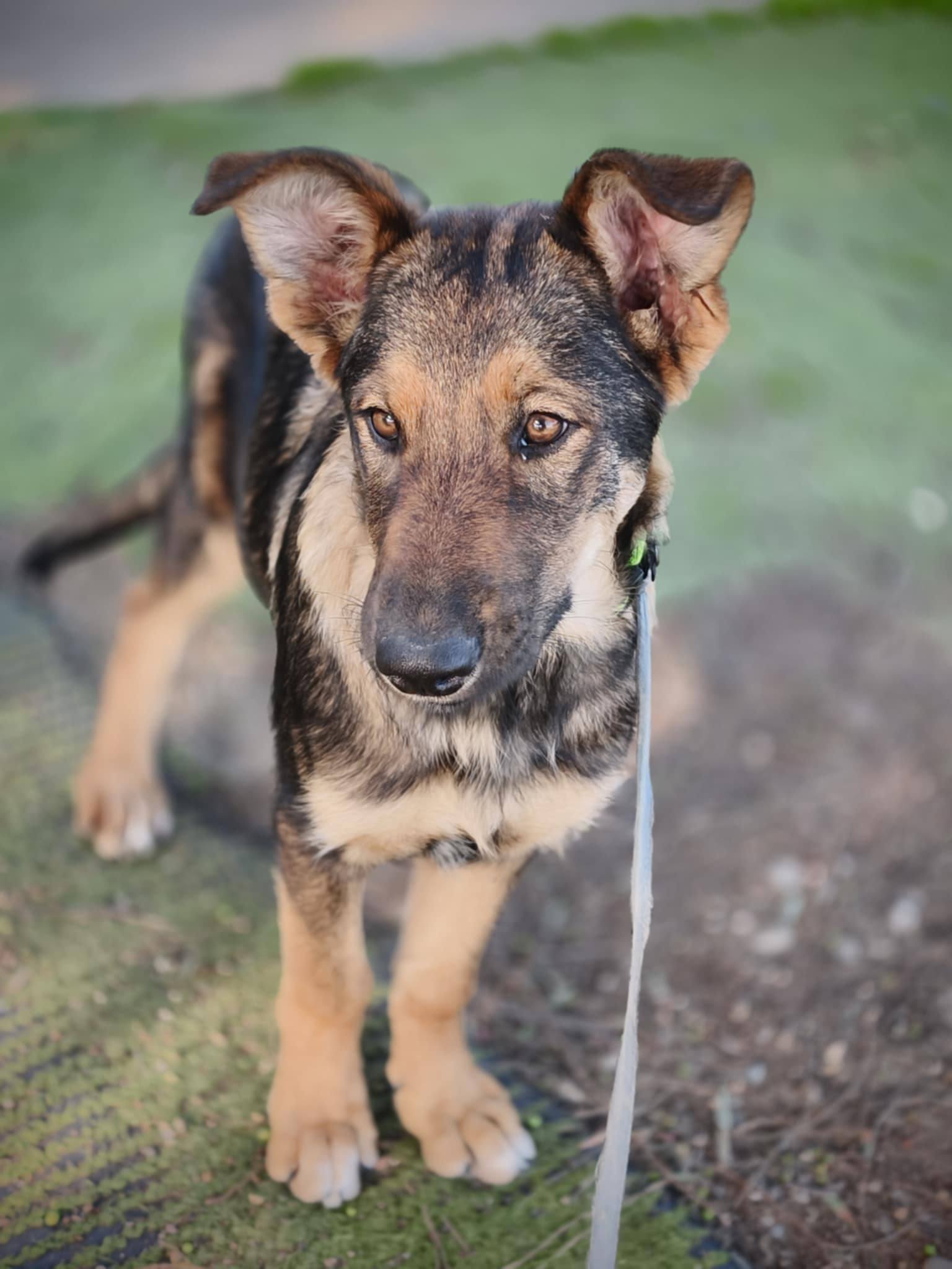 634939113_1341848414650807_8298086897098379220_n