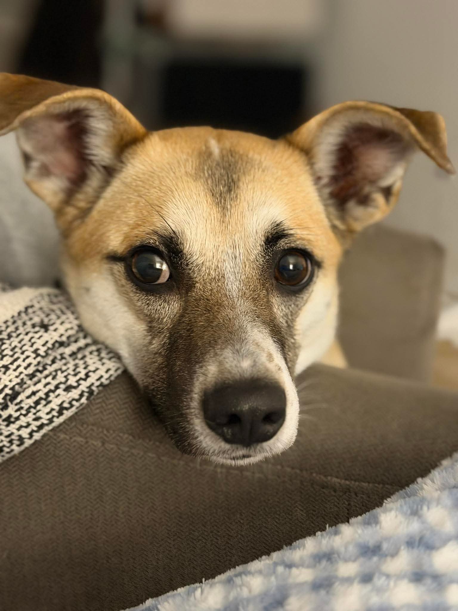 635274332_990404186643383_6099714680940819378_n