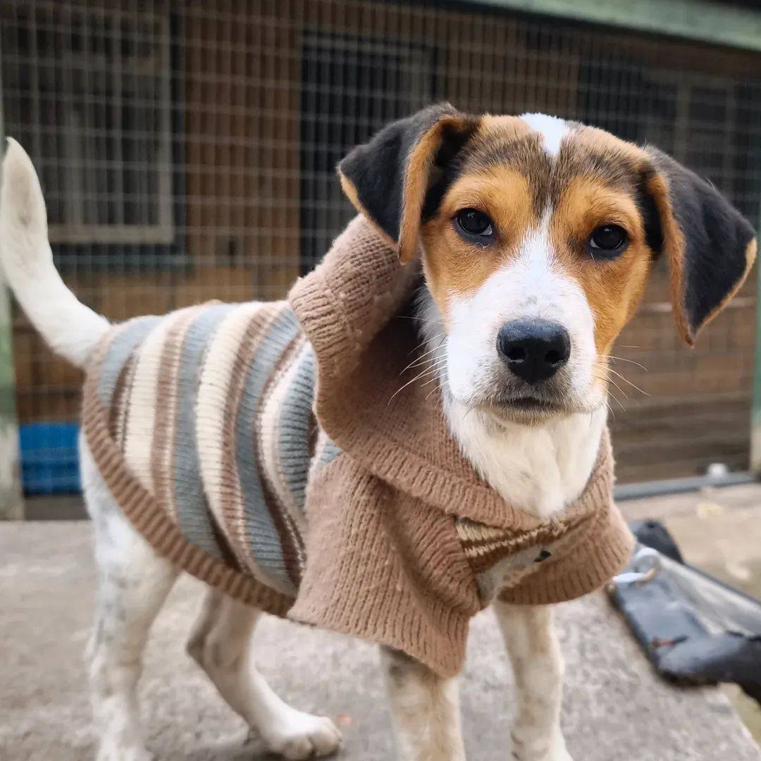 636827728_1343280077840974_4406817224990329067_n