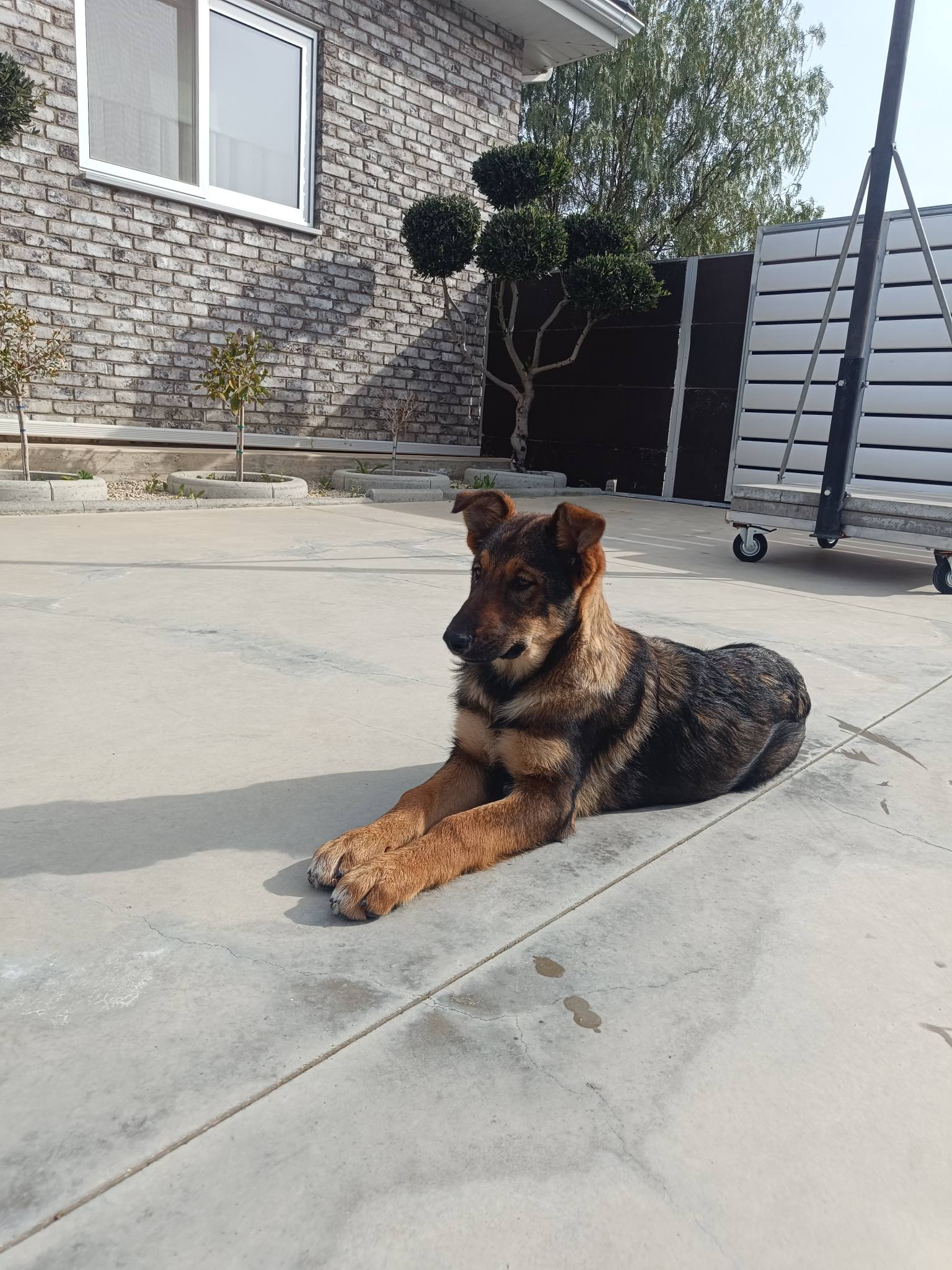 636846900_1341848487984133_989283290820629739_n