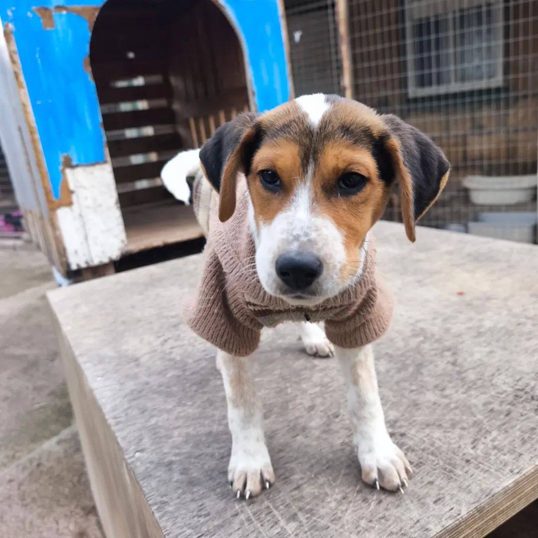 636917709_1343280204507628_7048824559468411402_n