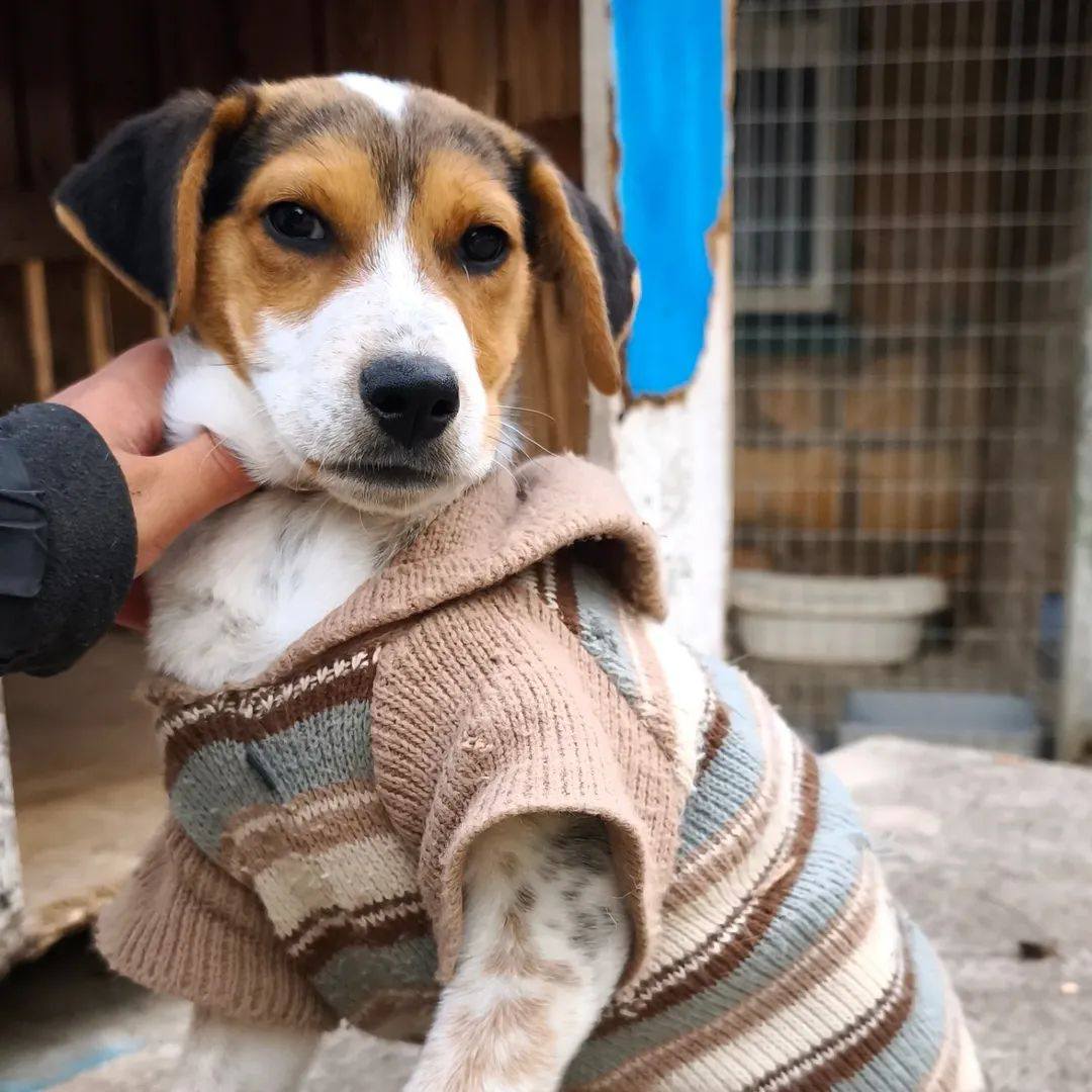 636926932_1343280151174300_8796051766305216544_n