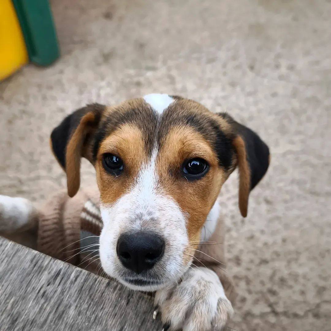 637025629_1343280111174304_1601783359800930628_n