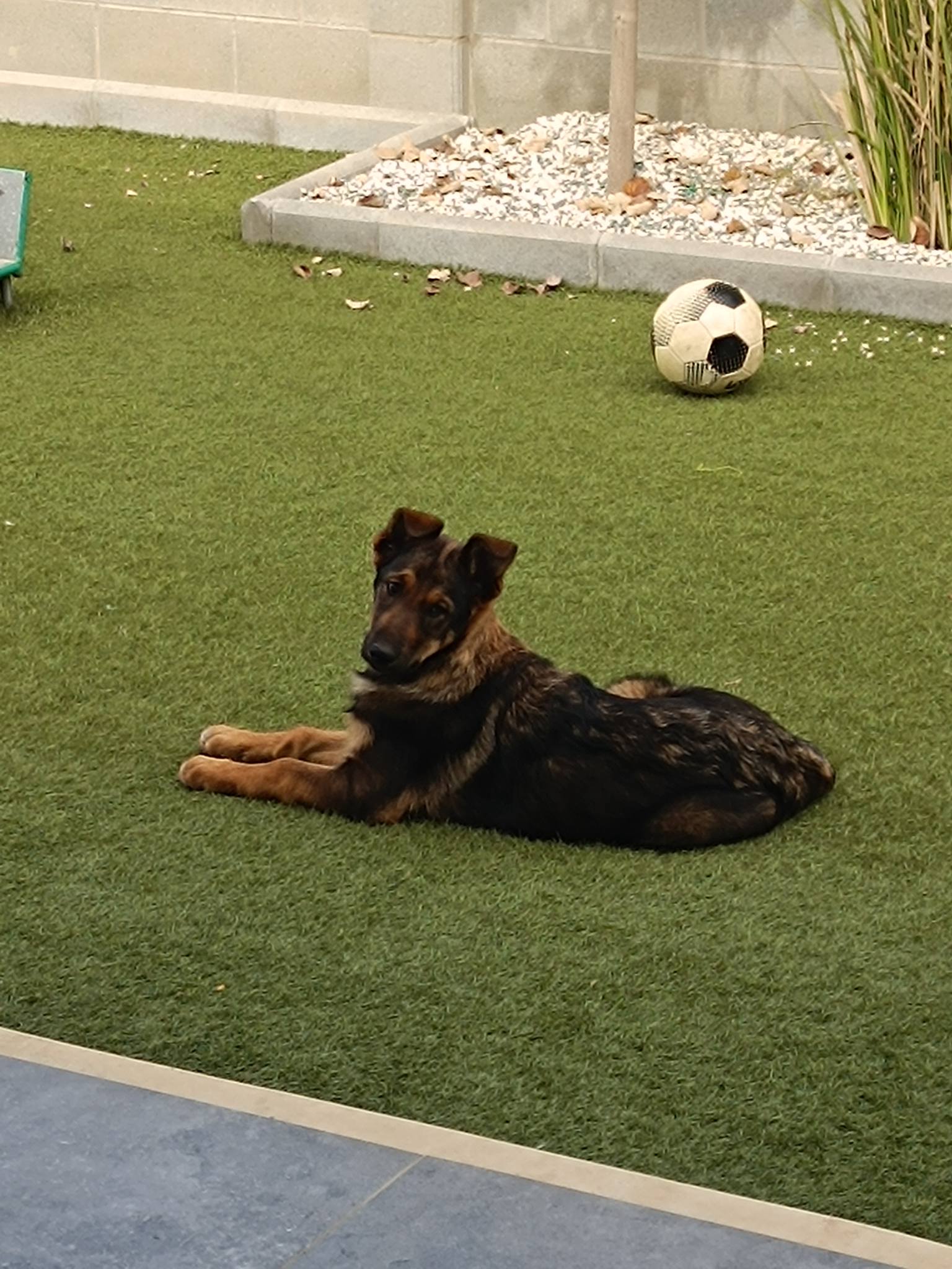 637341883_1341848371317478_9193371535343548977_n