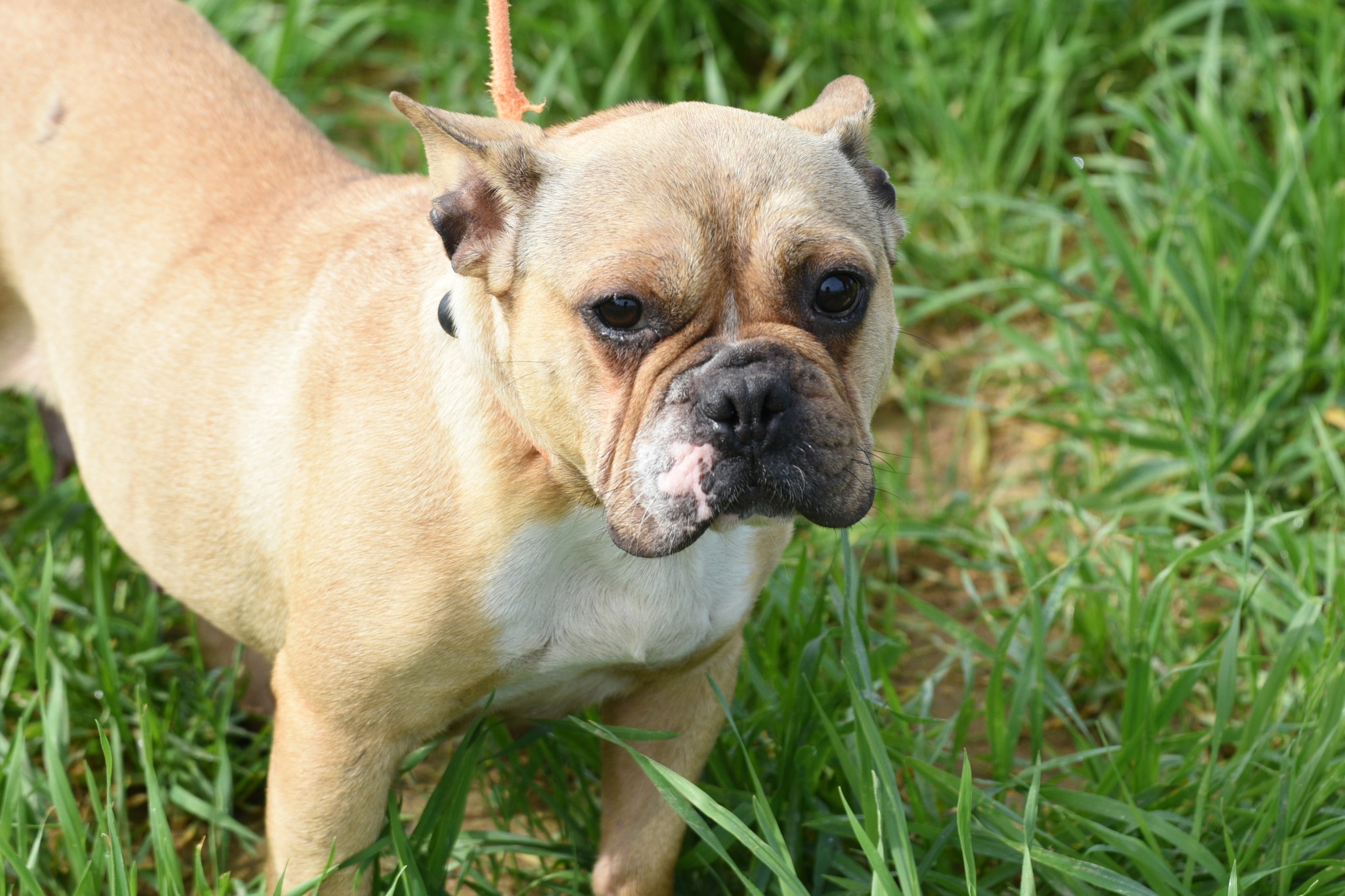 637431279_916919920851186_6487080457696649160_n