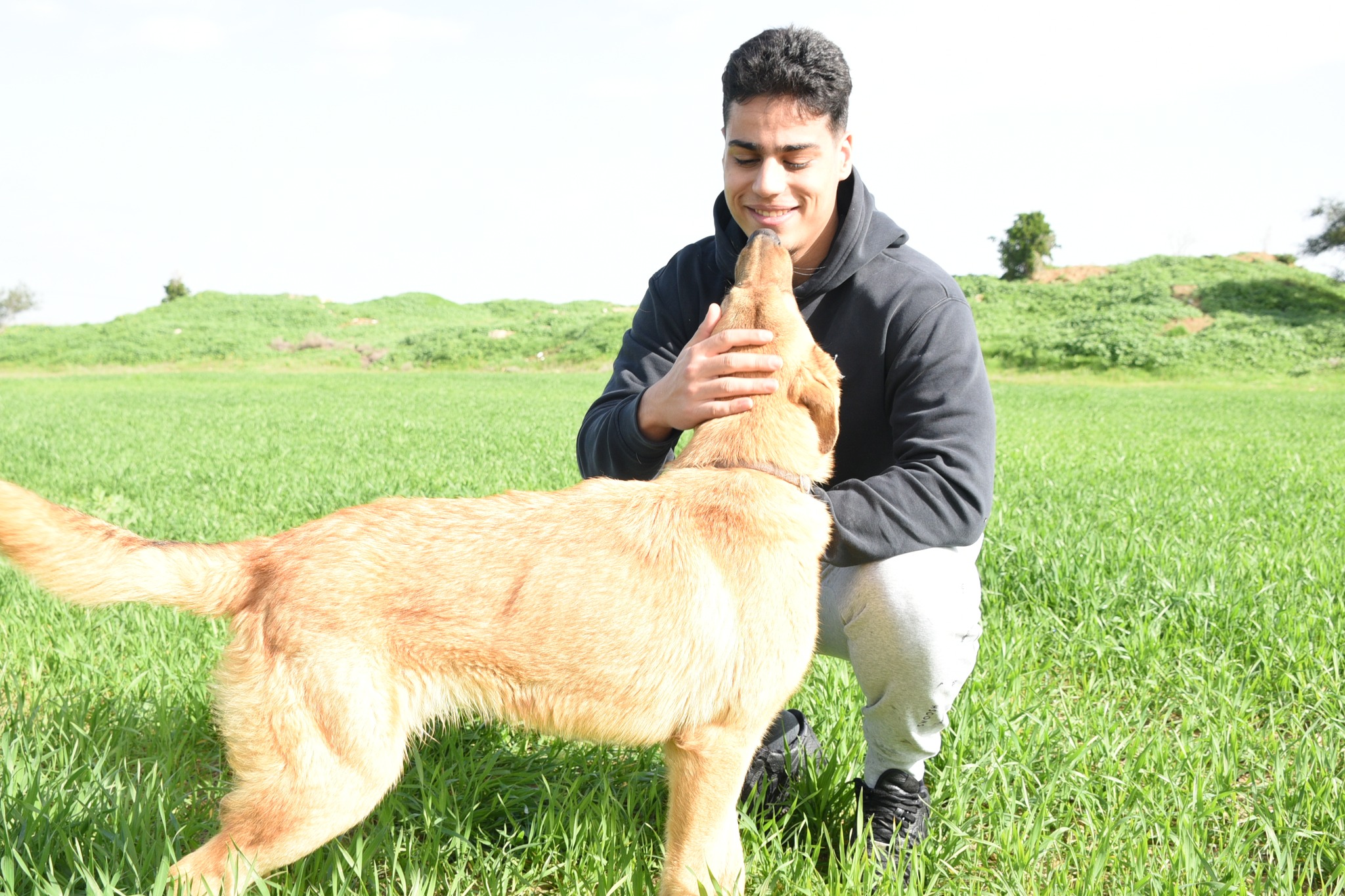 641607576_925087393367772_982390612740382654_n