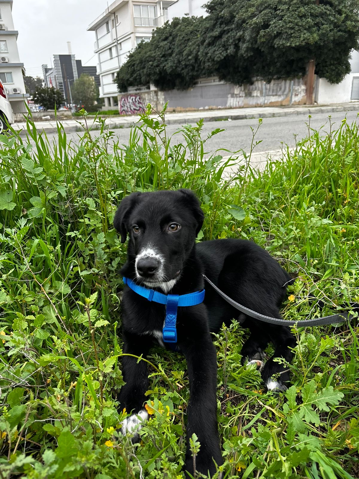 9ada31fa-9106-4e7d-be72-c87a4d50dbd9