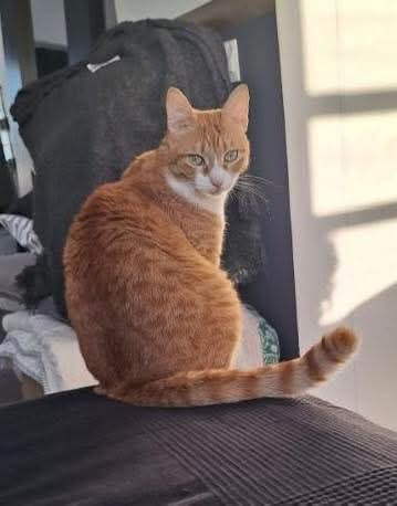 FB_IMG_1771438872567