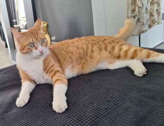 FB_IMG_1771438875093