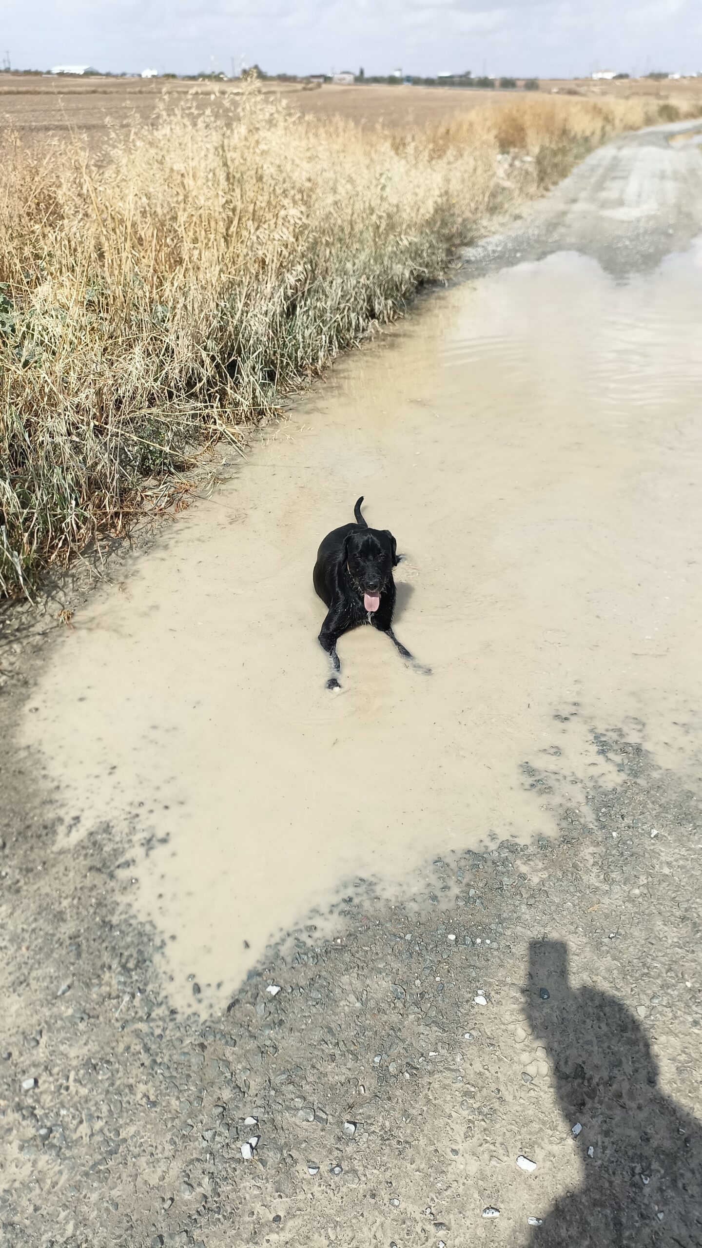 IMG_20250426_100019_652