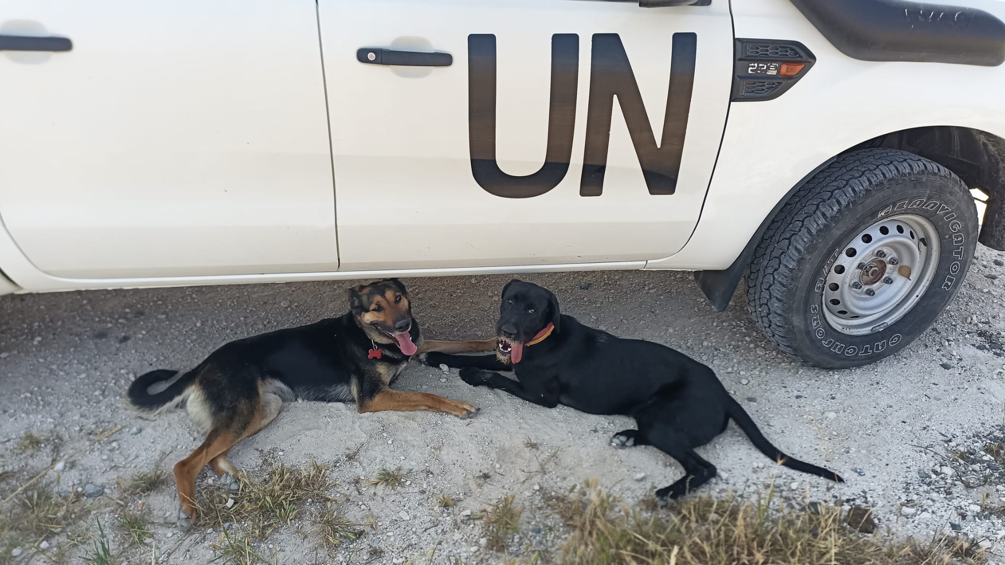 Michal-Kozmon-posiela-fotku1