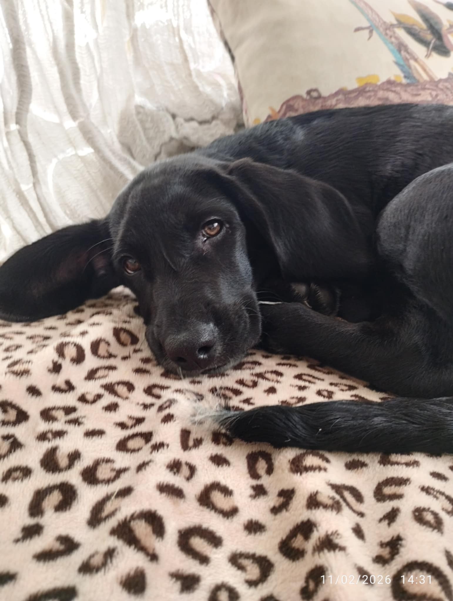 att.6X1AQTpyovCa2OMKnHx5jrlnj60ENeCJDjFcj8-gR6I