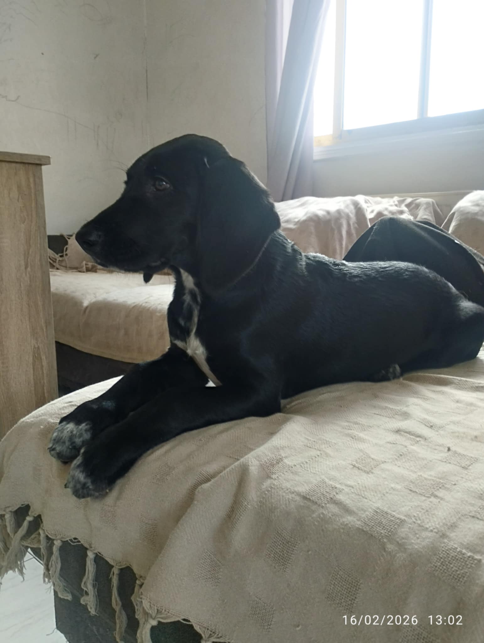 att.GHETjq8fSAA1-q2Zl4hskK9waPIJ4CDu5Px9K3Br7Y