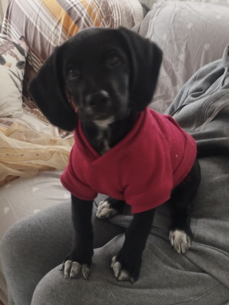 att.trVyNmpDDTV56sSP-5Xfj_w7My6QeySSRw-ejSS-Ql8