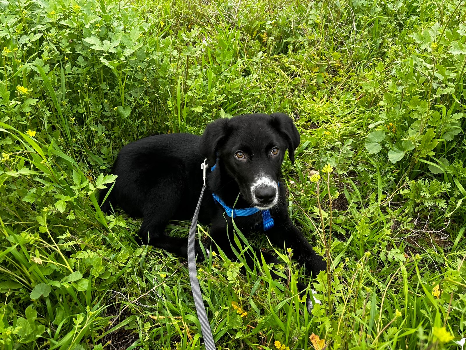 b4fdc8c1-3784-4484-a7db-3959316cc6e6