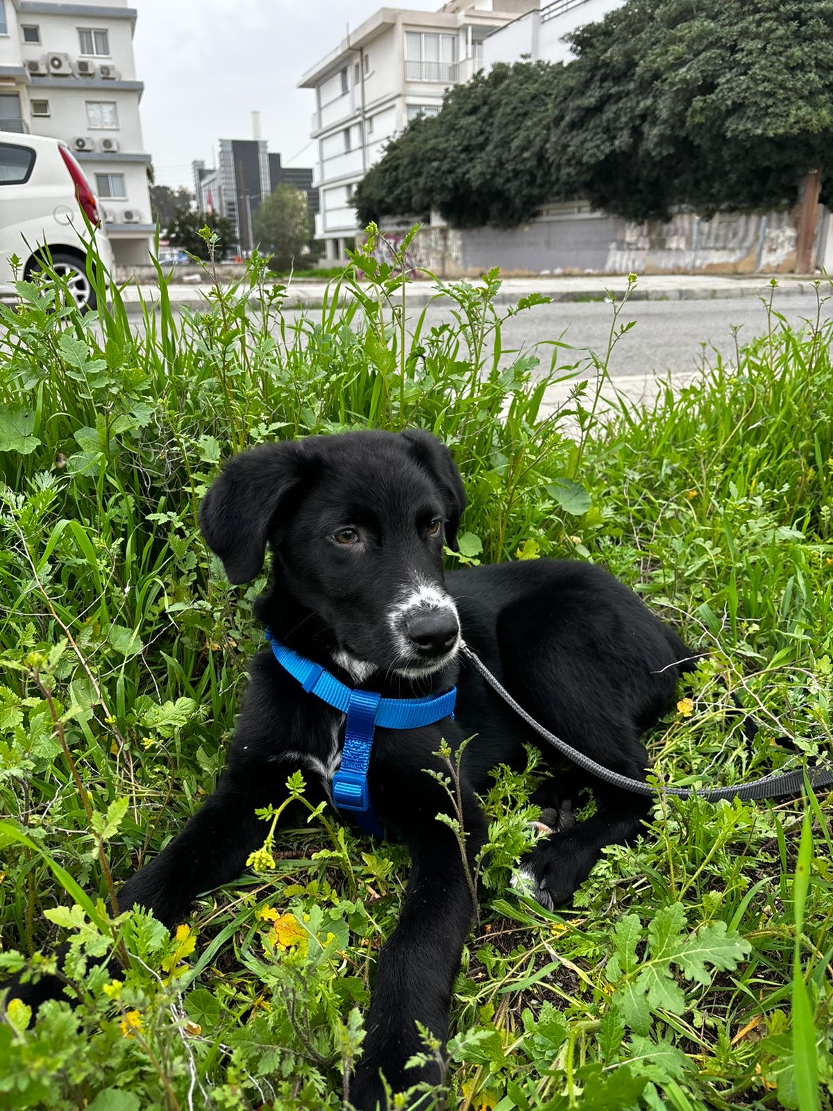 f1d76aab-605b-4ec7-bf87-3a19589f1ced