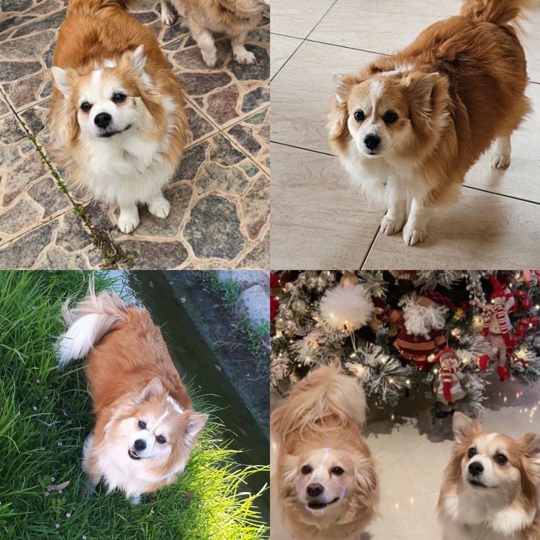 inbound8205319421295123573