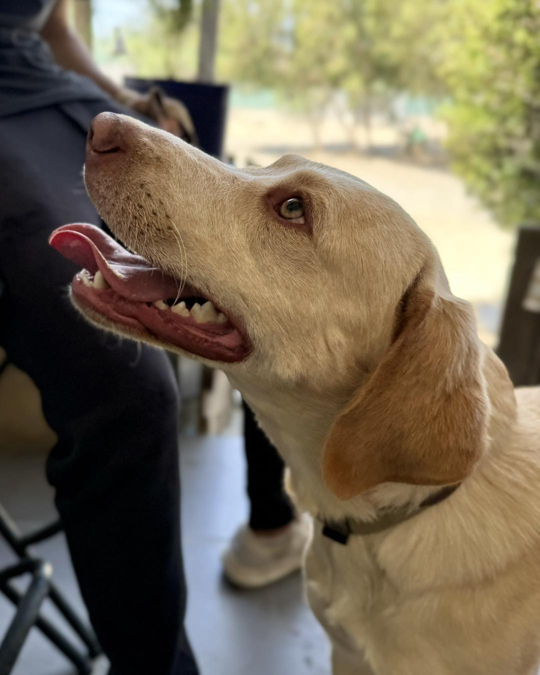 499411465_705280008681846_6245067062581673945_n