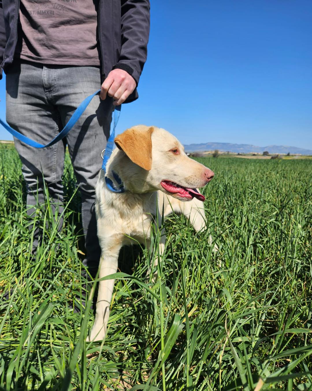 499486615_705280082015172_1174414771985770097_n