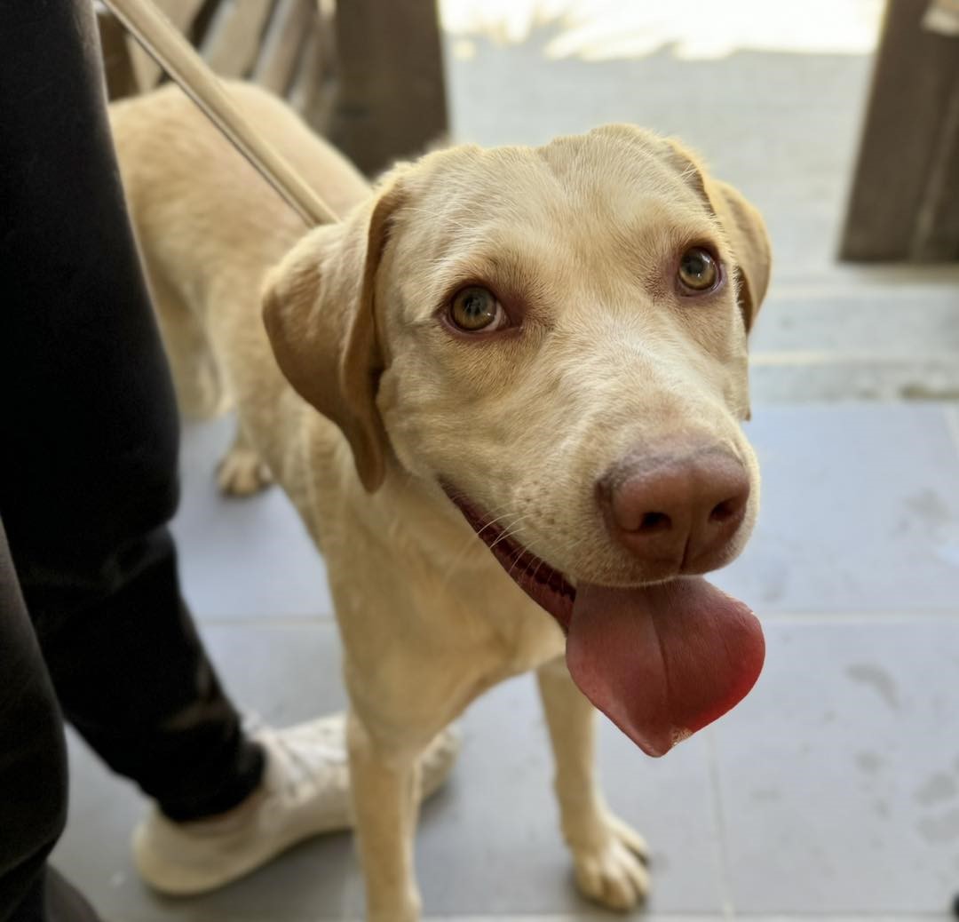 500121082_705280002015180_4865817296193334015_n