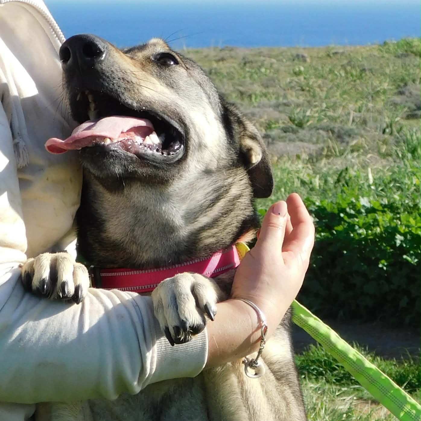 643012109_18322242577301739_4700255653746949094_n