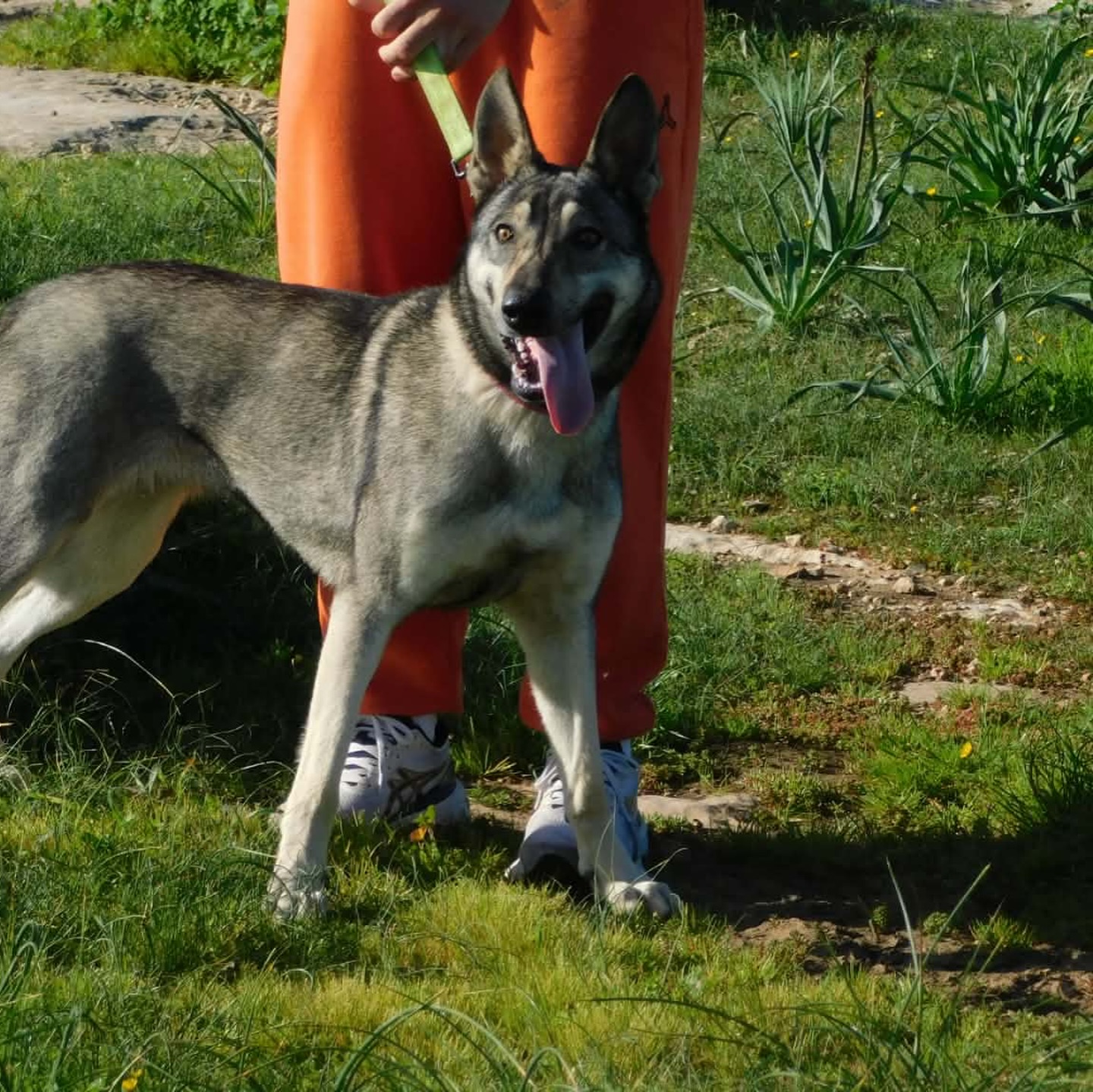 643185182_18322242595301739_1267281095107145092_n