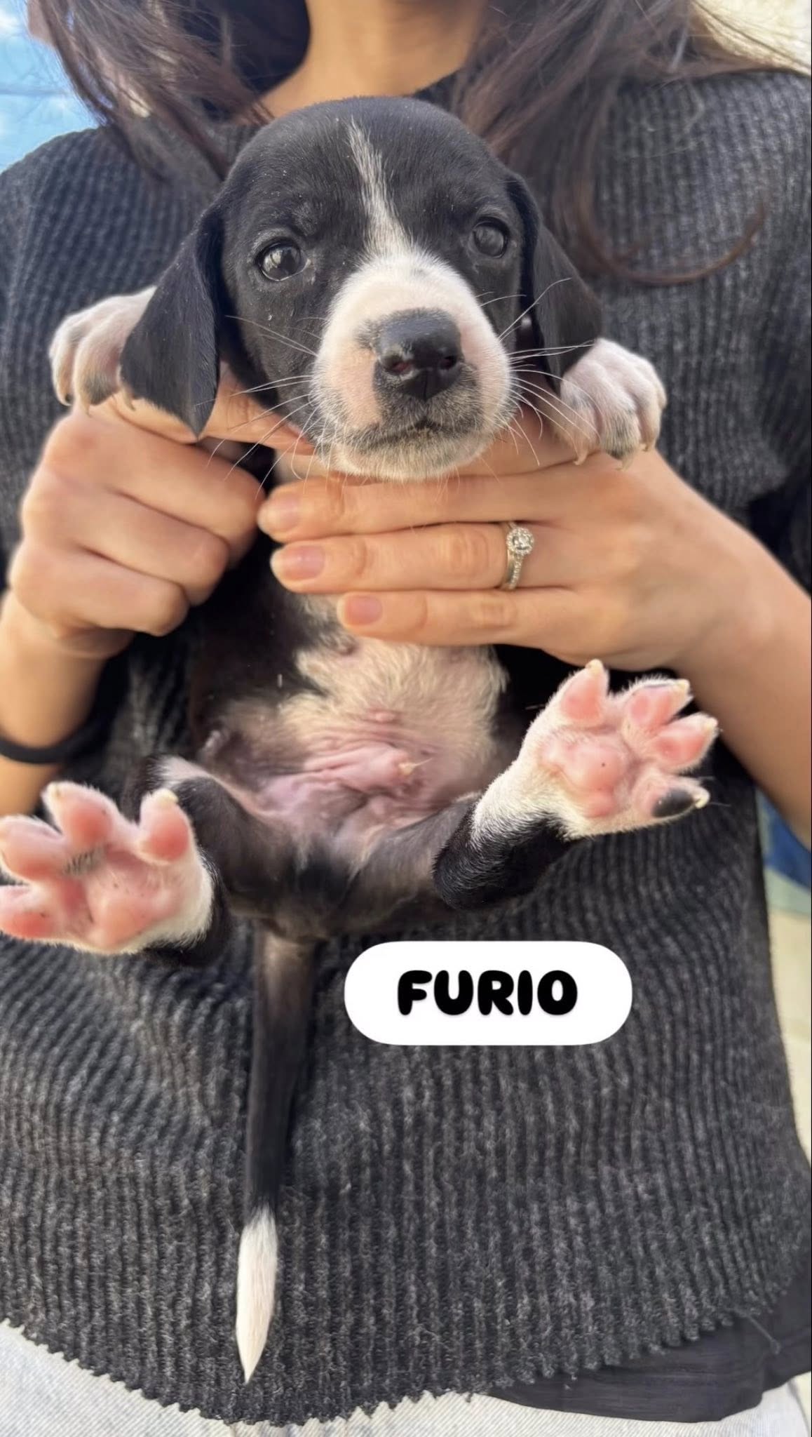 643349808_2141063119962679_339780020001873664_n