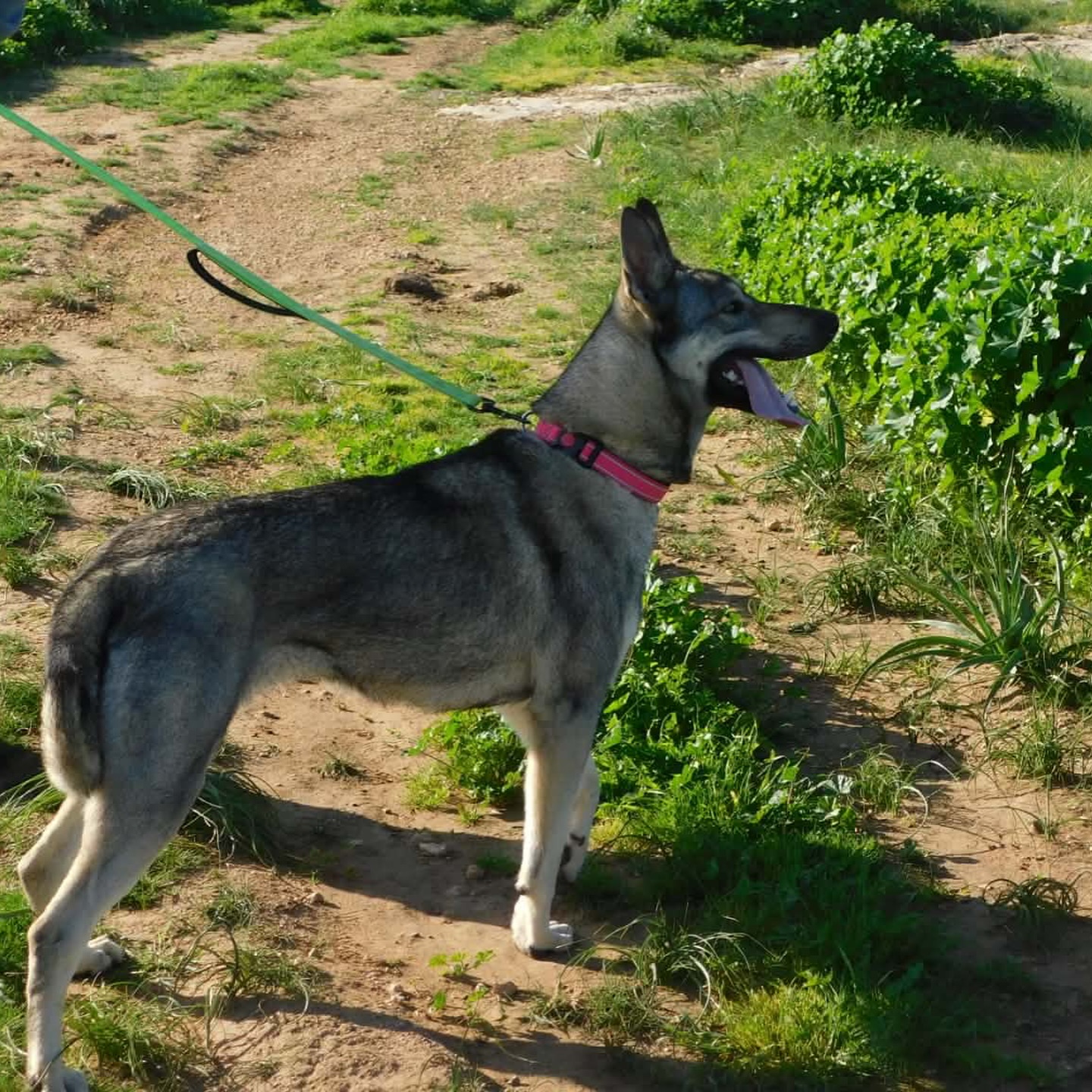 643566725_18322242592301739_5336464845239483426_n