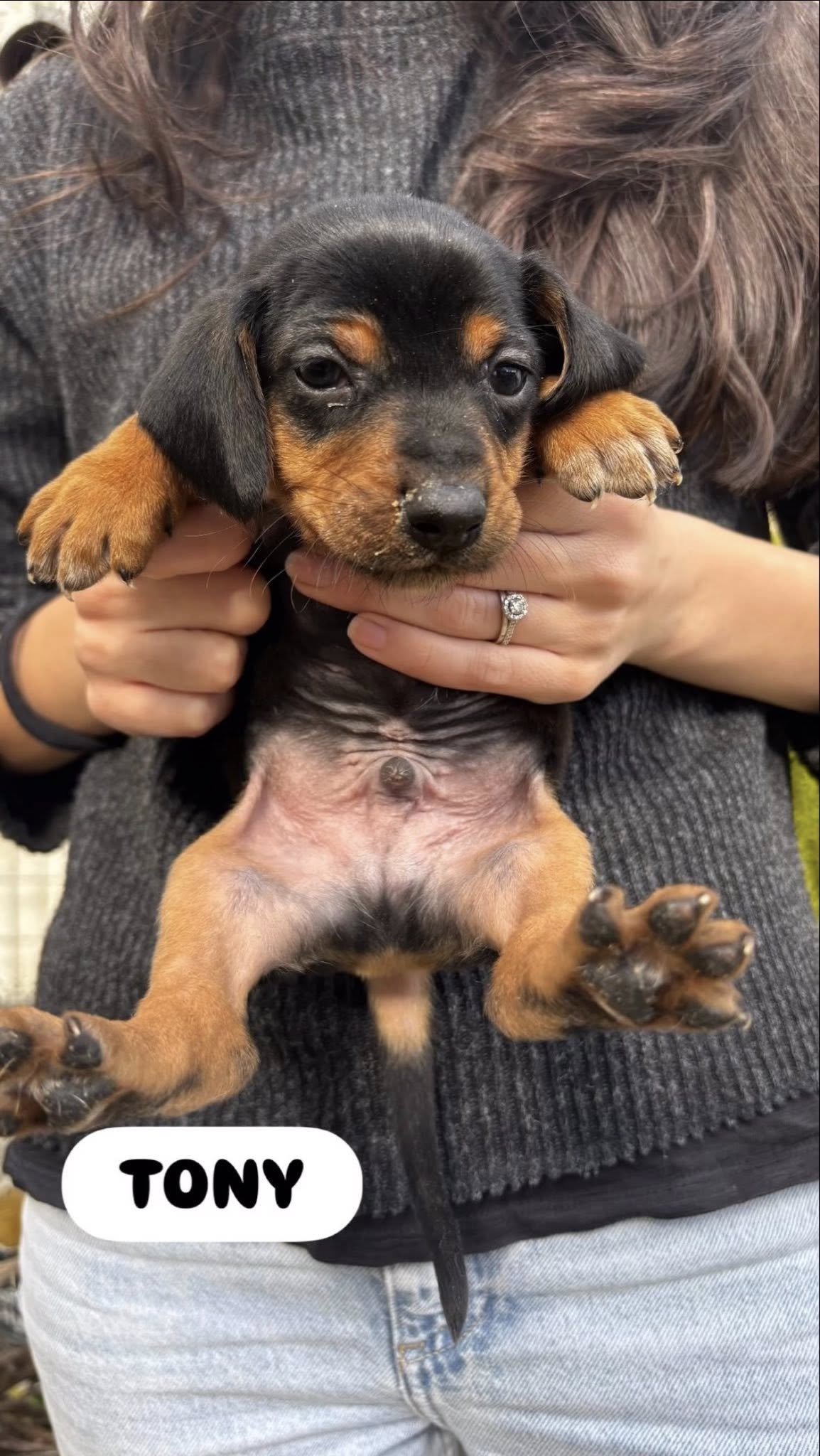 643752725_2141063079962683_8493129504139533491_n