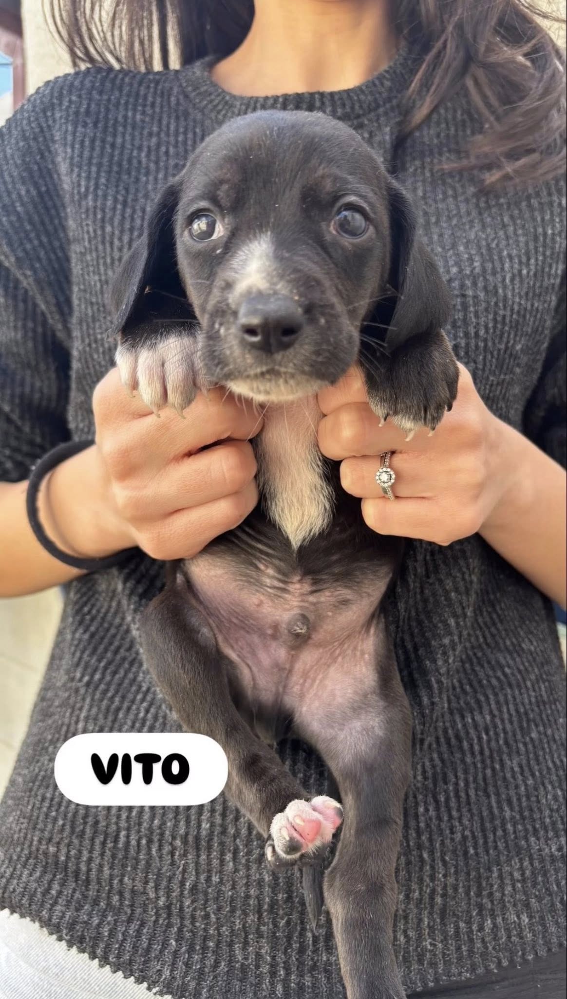 643763789_2141063156629342_8628205769608536052_n