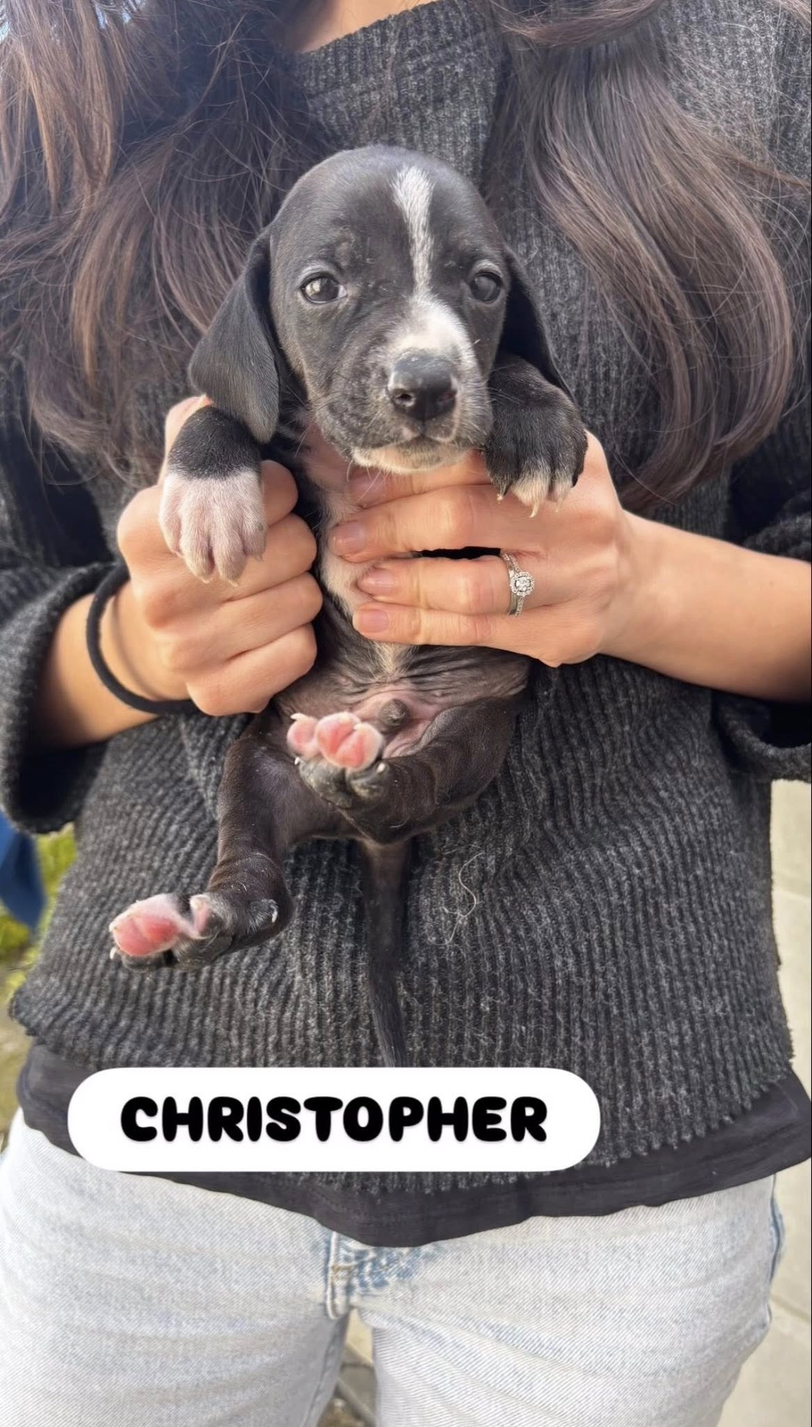 643822898_2141063313295993_7995578841431457544_n