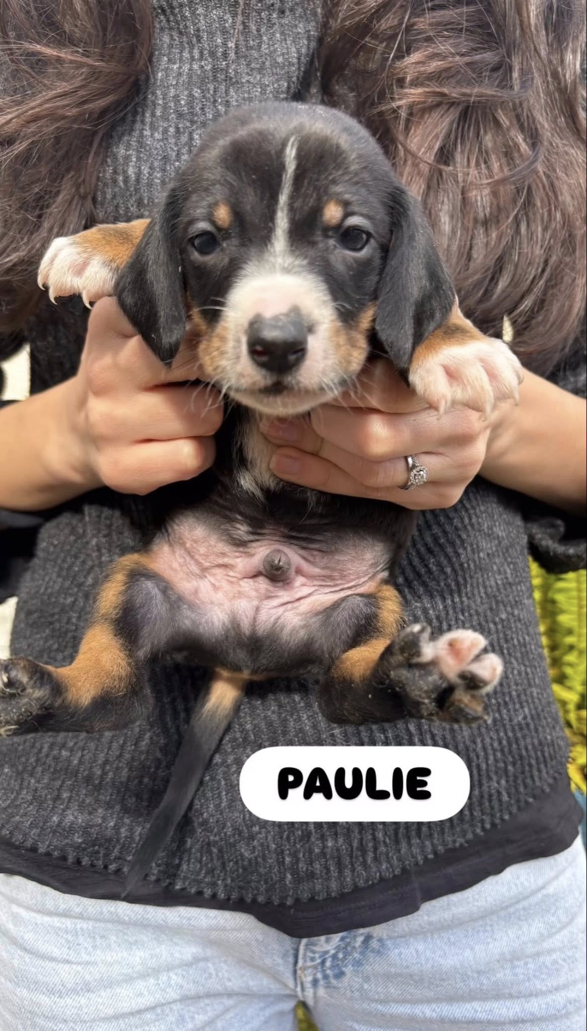 643874452_2141063113296013_5019831309626619477_n