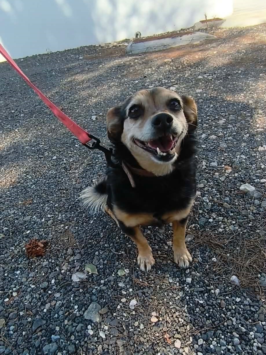 645286599_1002403928776742_1087913269336444899_n