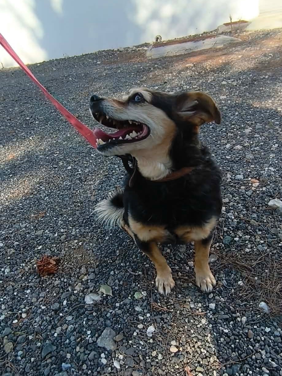 645448499_1002404075443394_7804094315258925470_n