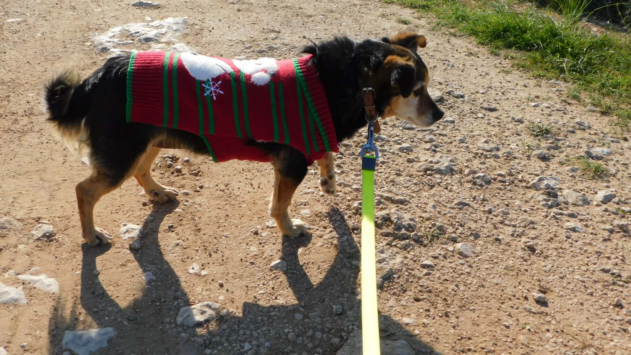 646141803_1002404158776719_3739970008193685755_n