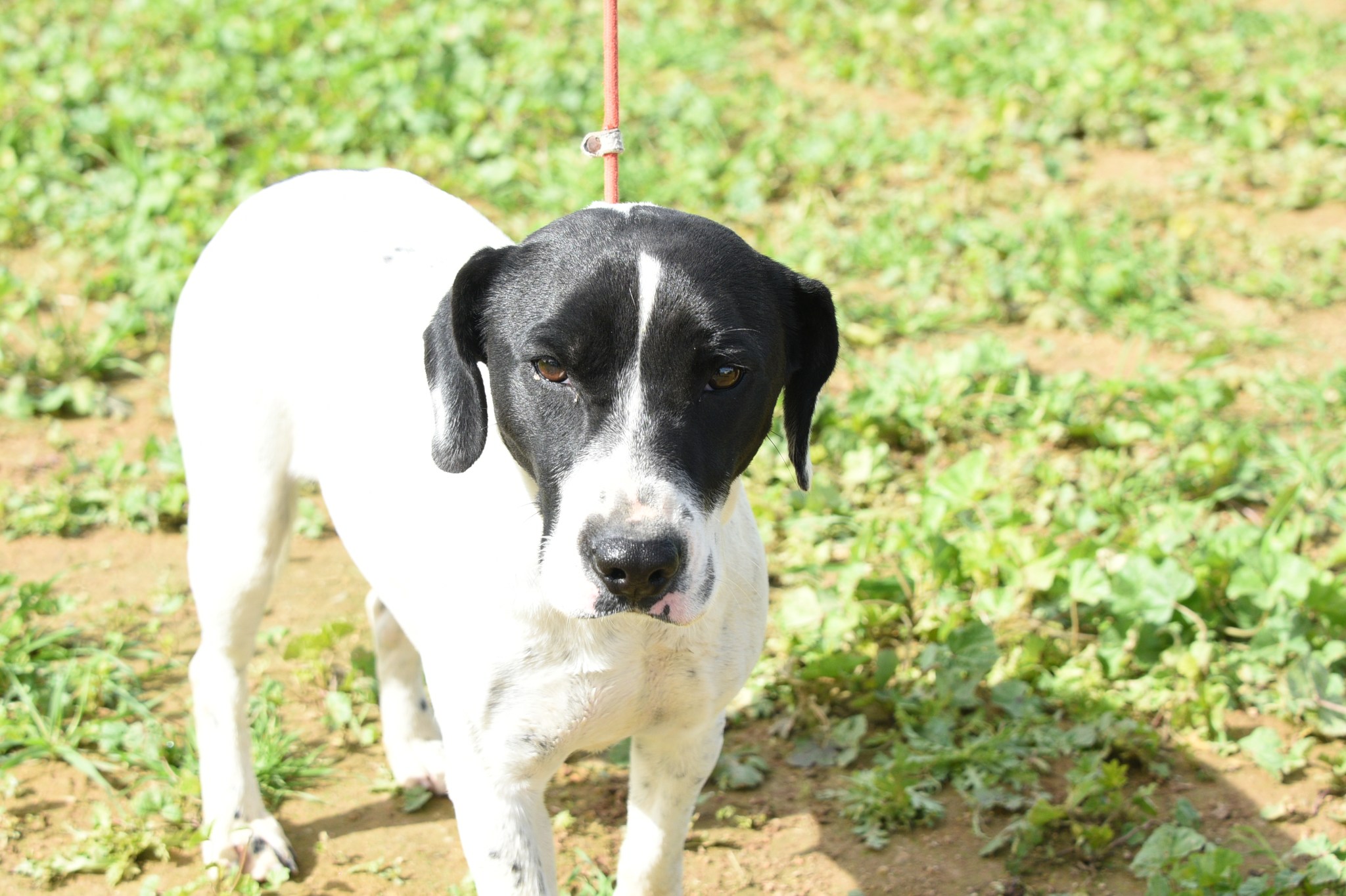 647856550_930869066122938_6288573542748051336_n