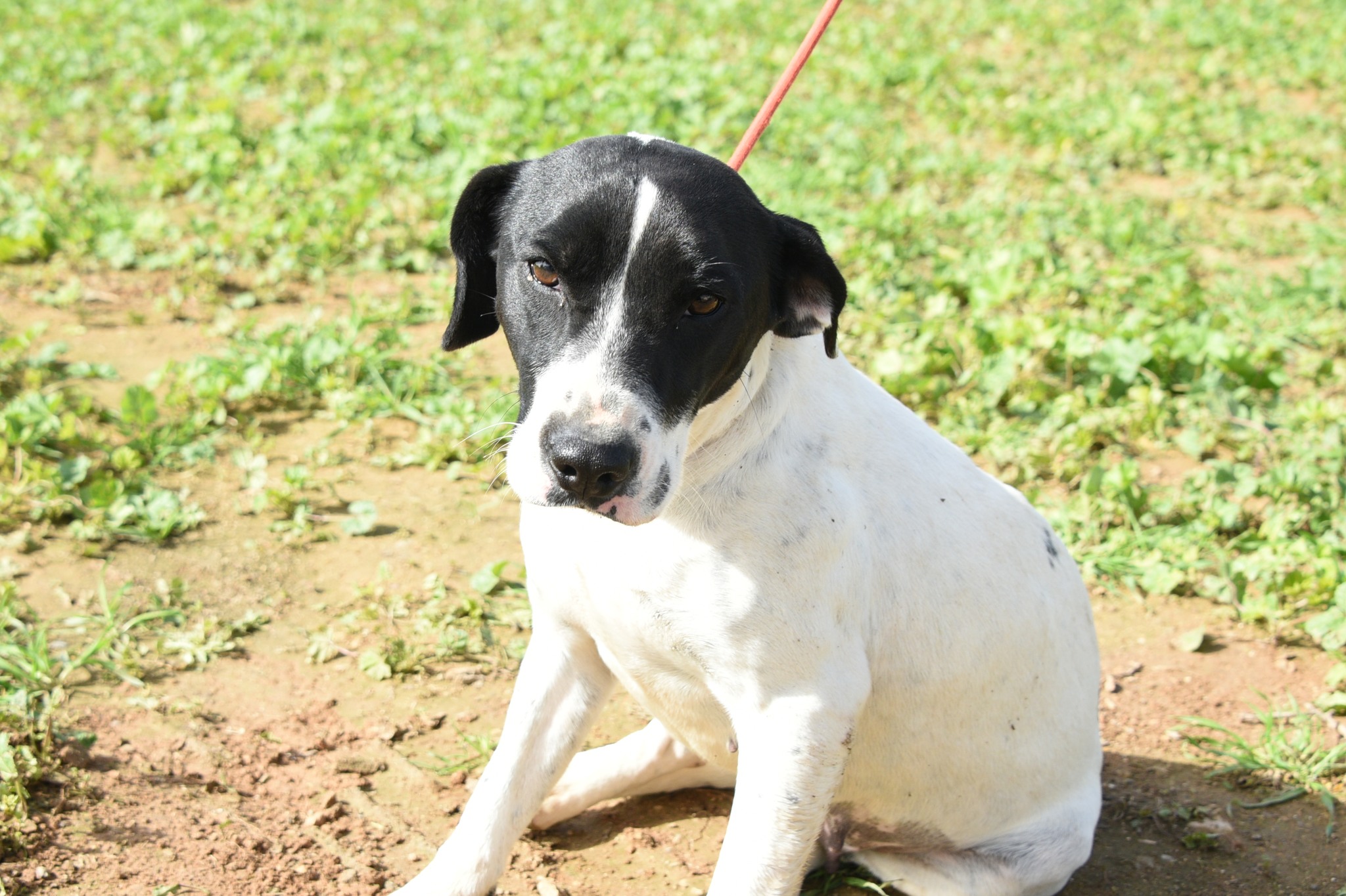 648143603_930869242789587_5508193696620781483_n