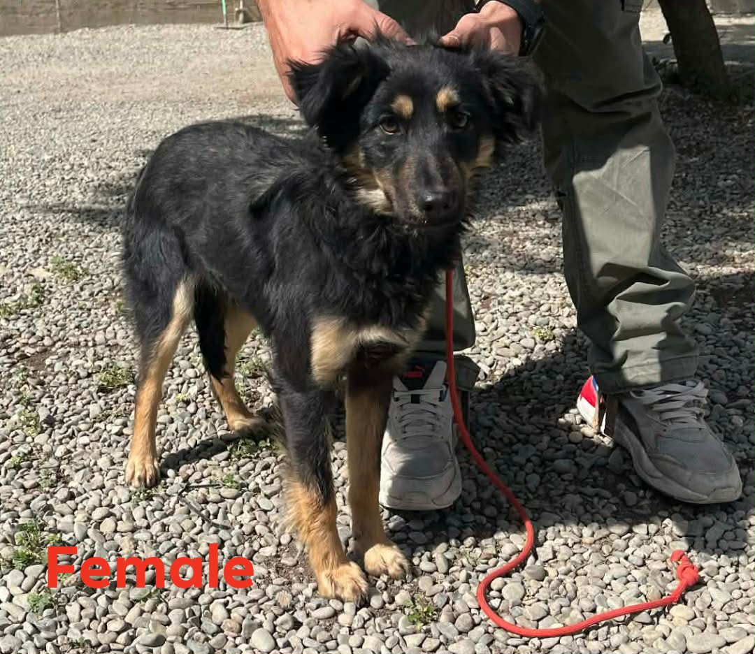 648170964_932261262650385_6689667189710969277_n