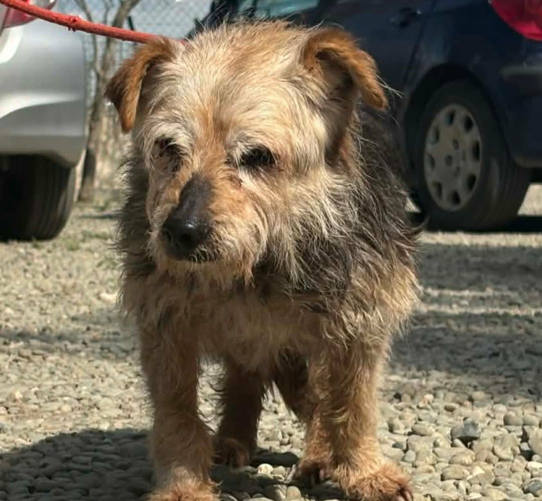 648542176_932265682649943_6117025560355247111_n