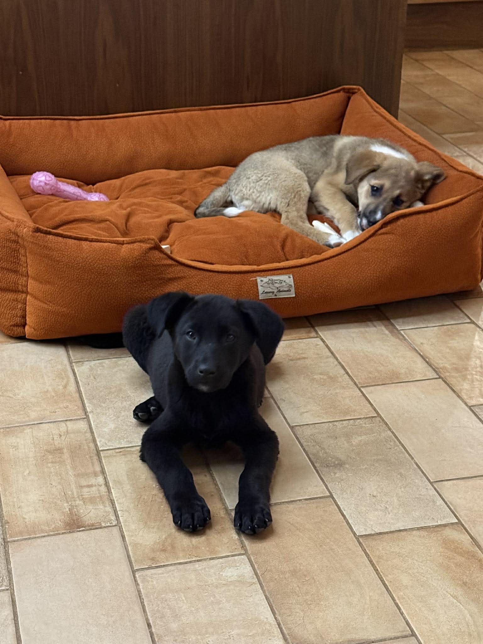 649109749_1008014771548991_7169471828166985492_n