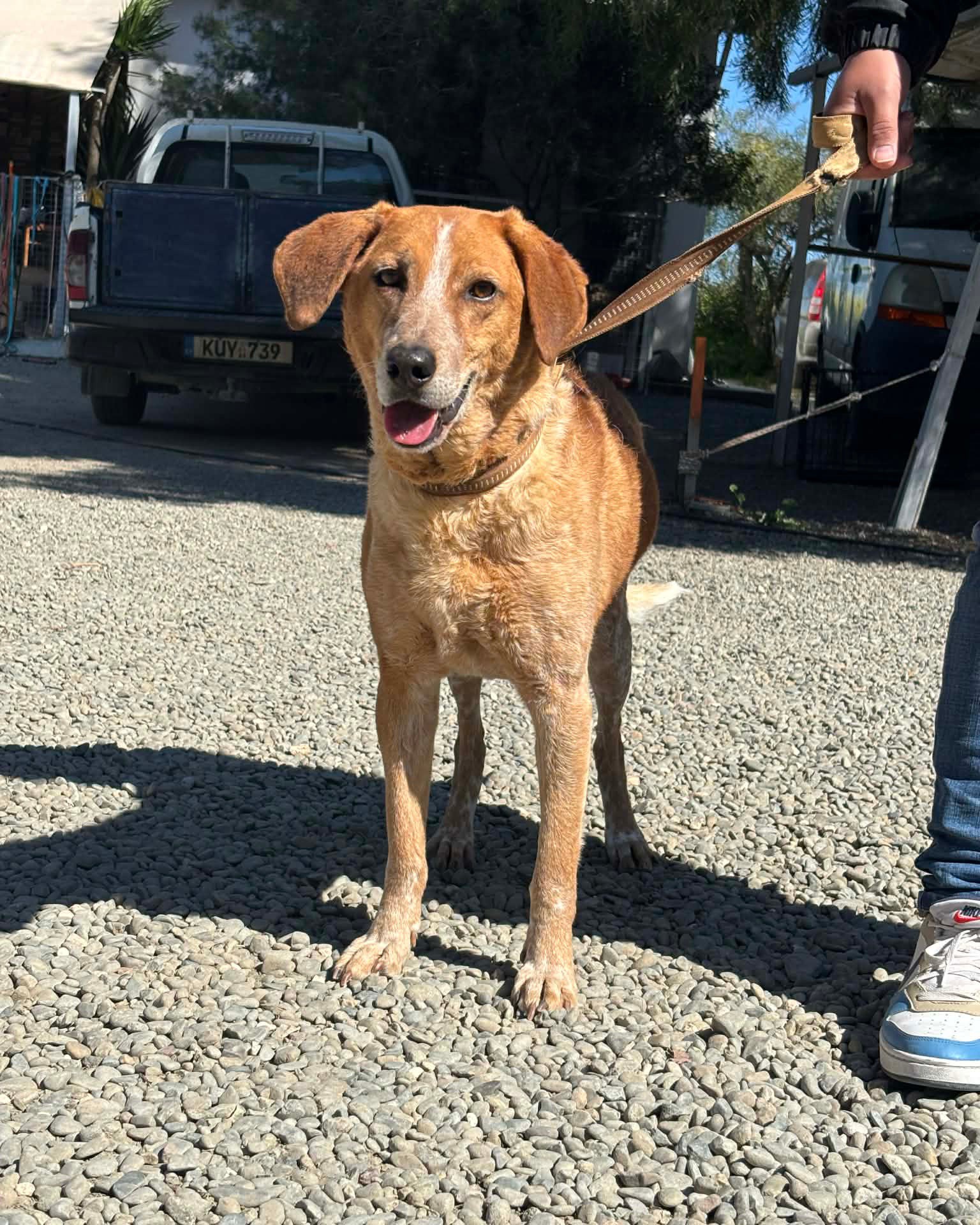 649137340_934559605753884_8180223130917510331_n-1