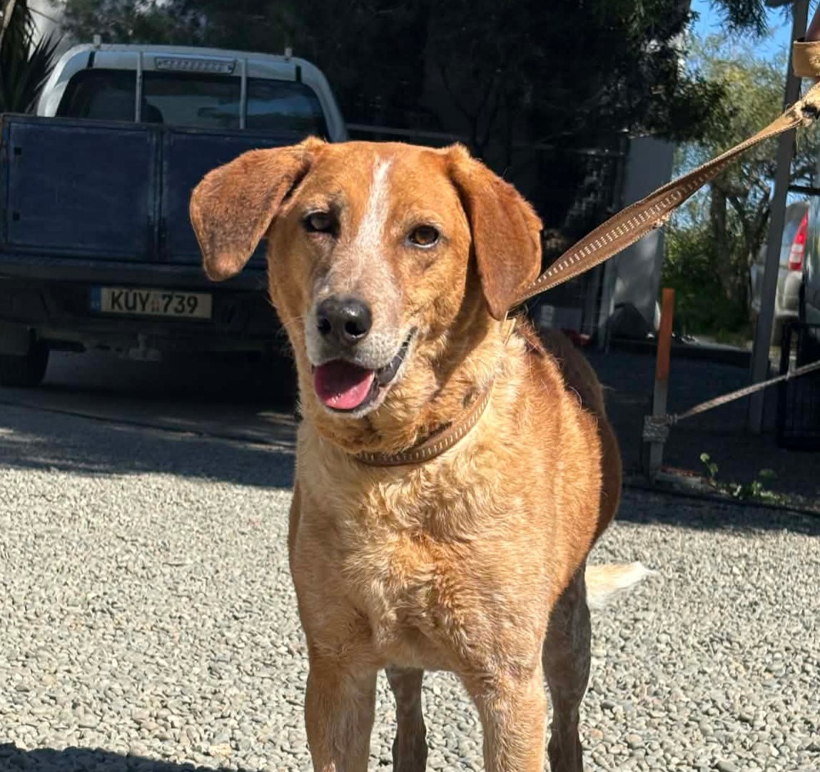 649137340_934559605753884_8180223130917510331_n