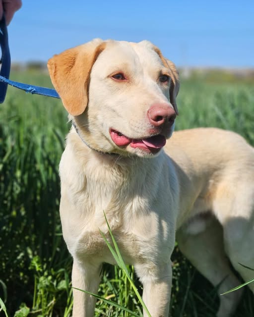 649370546_934469789096199_5527032288820630806_n