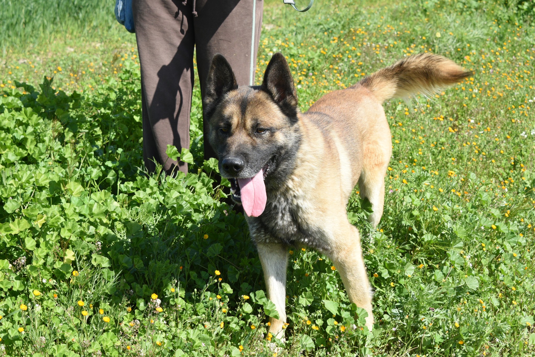 649554572_935224209020757_5482812132180644189_n