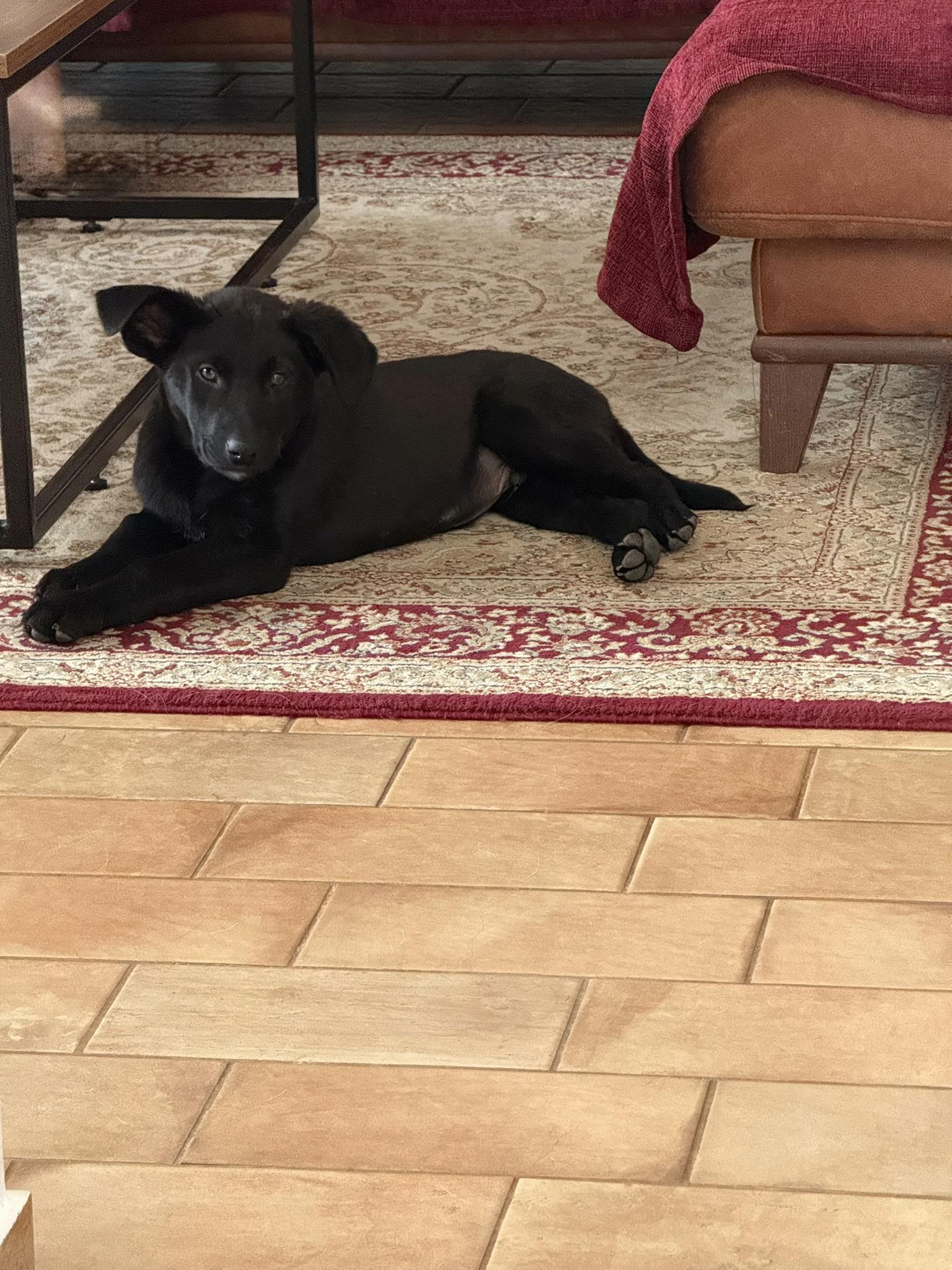 649841550_1008015328215602_3461658938074371858_n