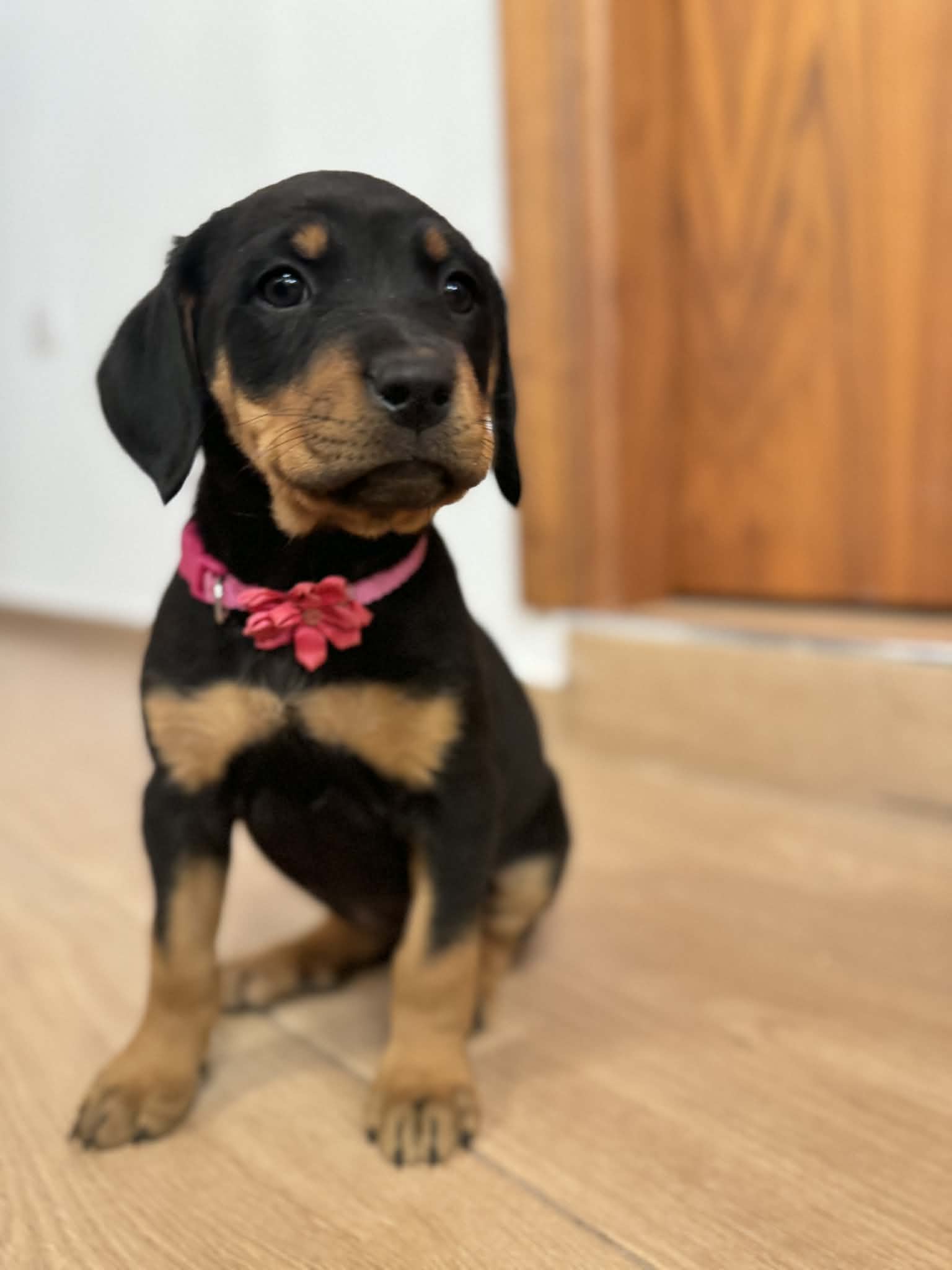 649911572_26695660380041313_8860273981501026097_n