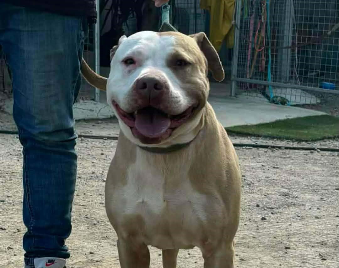 649919156_935163642360147_4907650838278831779_