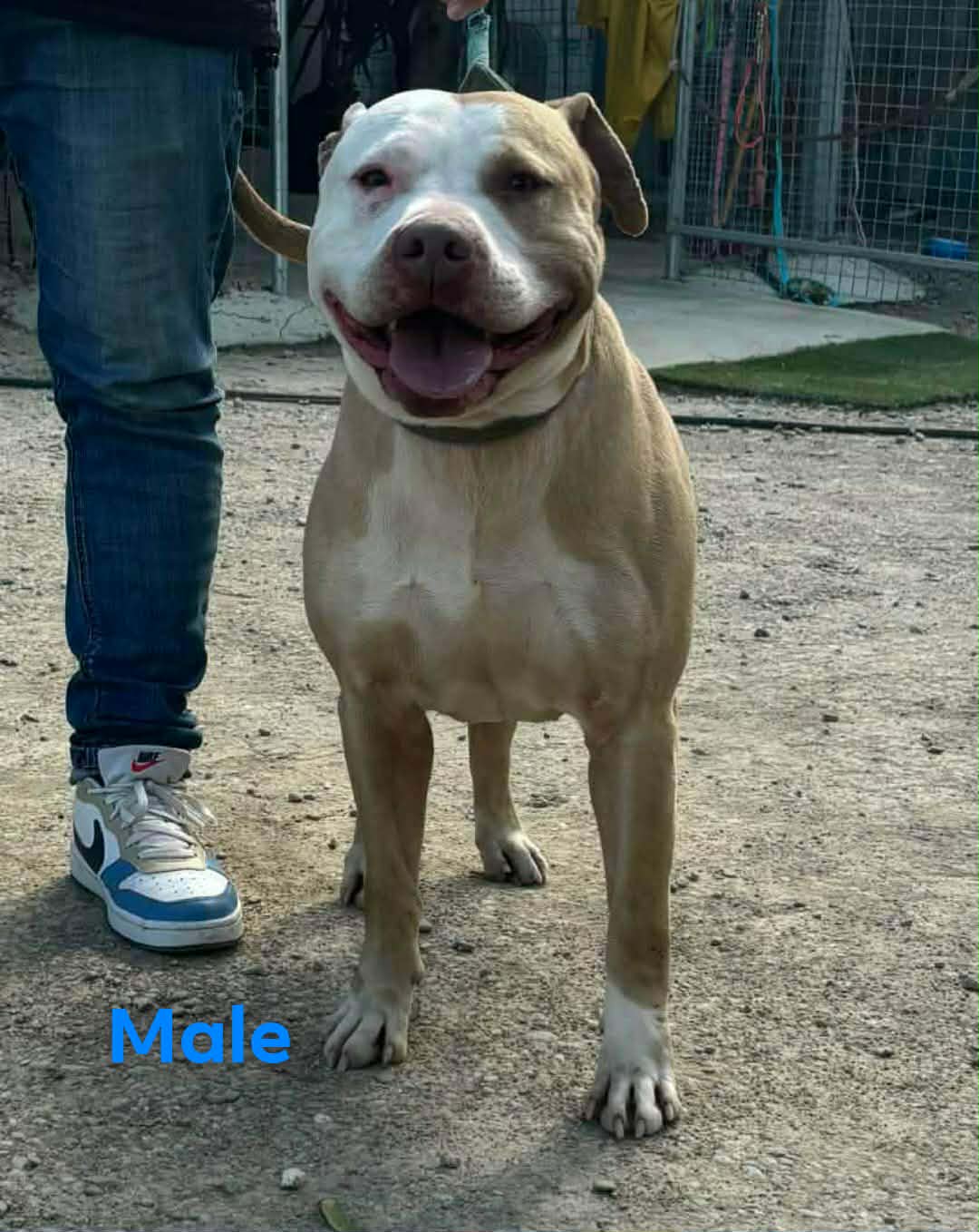 649919156_935163642360147_4907650838278831779_n